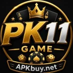 PK11 Game APK